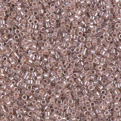 DB-256 Light Cinnamon Ceylon